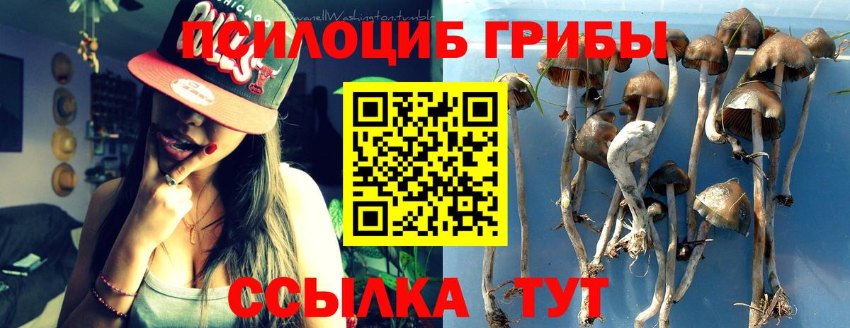 Псилоцибиновые грибы Psilocybe  Галлюциногенные грибы MAGIC MUSHROOMS  Дзержинский  цена   Вход с VPN 