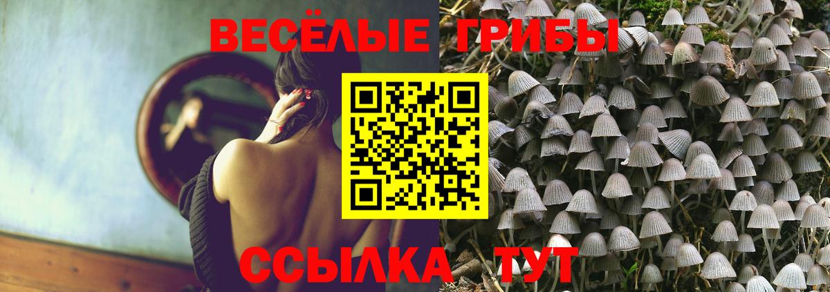Галлюциногенные грибы GOLDEN TEACHER Дзержинский